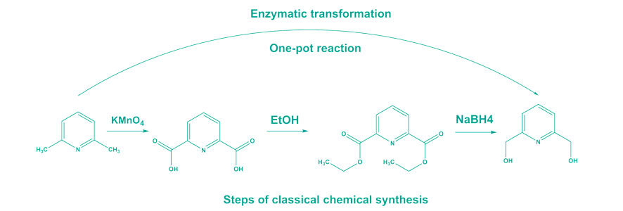 Biotech one pot synthesis